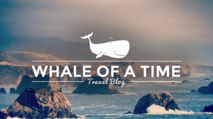 whaleofatime_logo