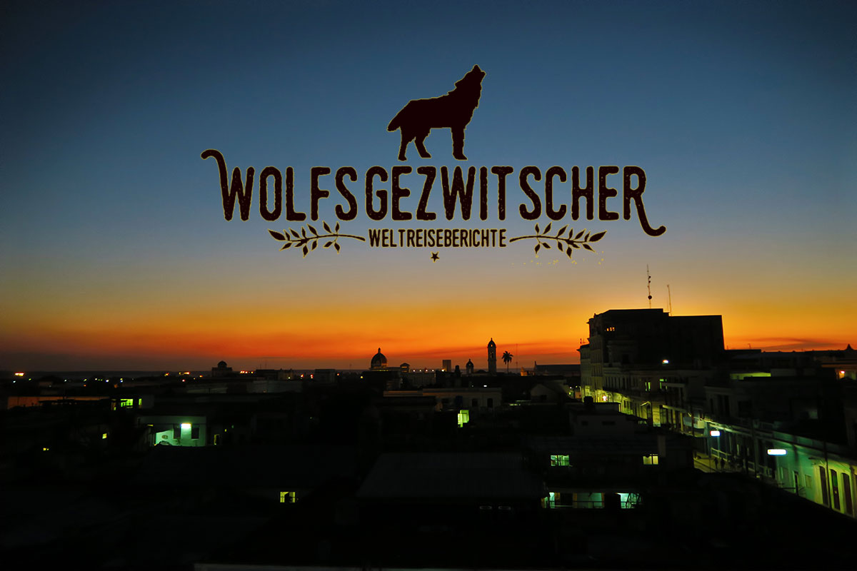 wolfsgezwitscher_banner
